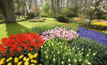 5 dages flodkrydstogt i autentiske Holland