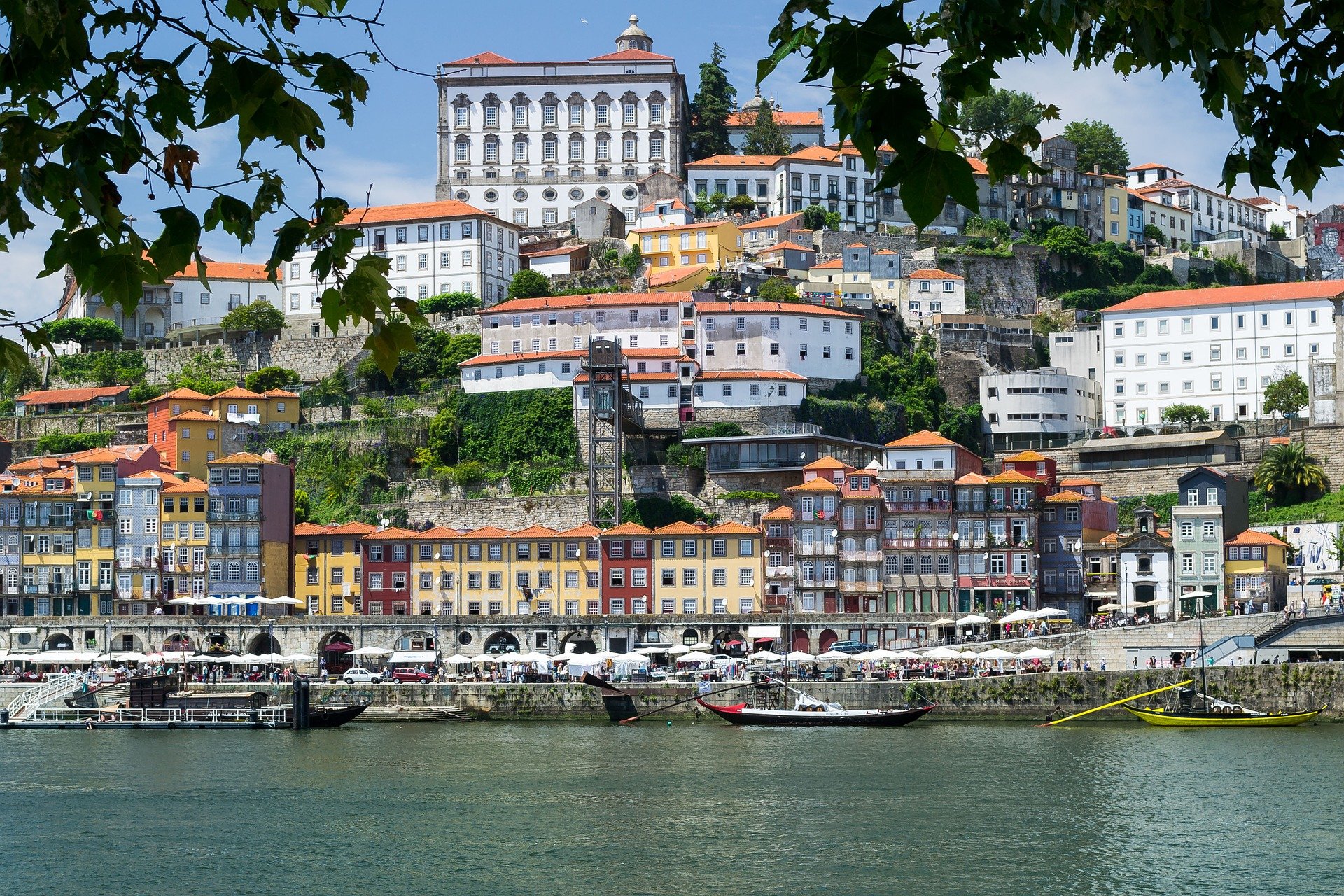 porto viva